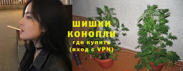 сатива Богородск