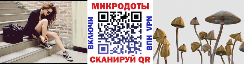 Галлюциногенные грибы ЛСД  Ершов 