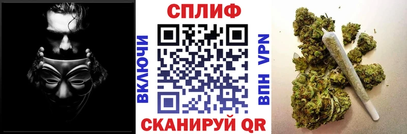 Бошки марихуана Amnesia  Ершов 